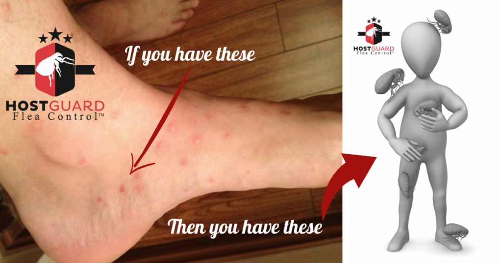 flea control