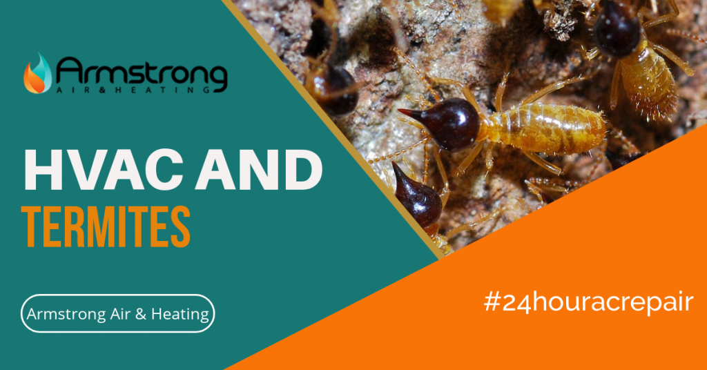 Termites In Your HVAC System