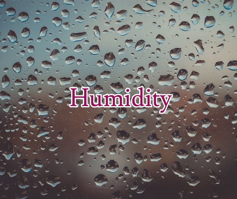 humidity in florida