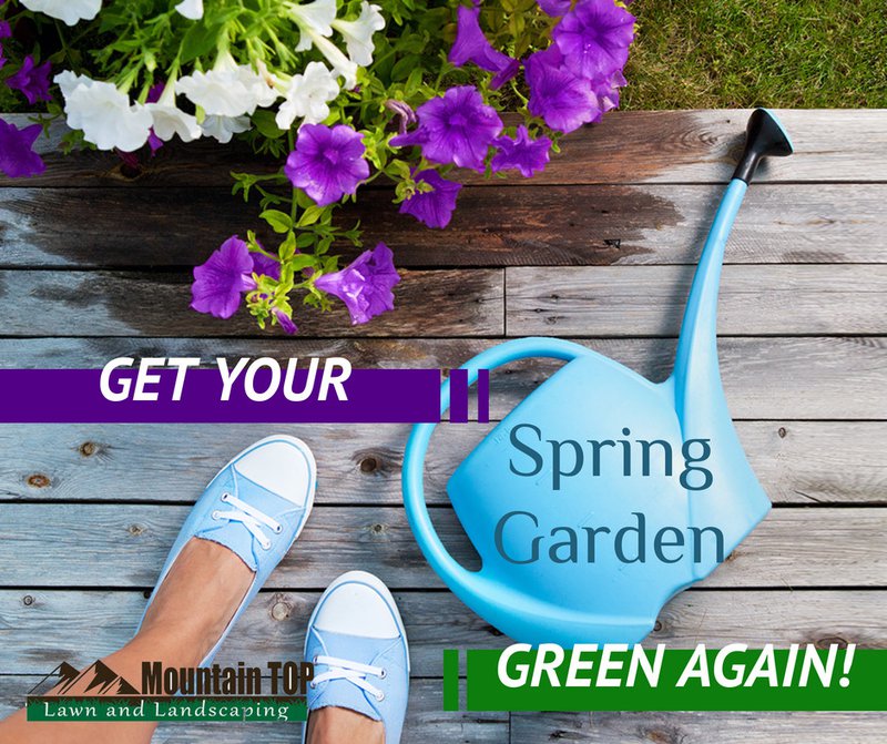 yard maintenance tips