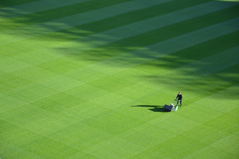 Yard Maintenance