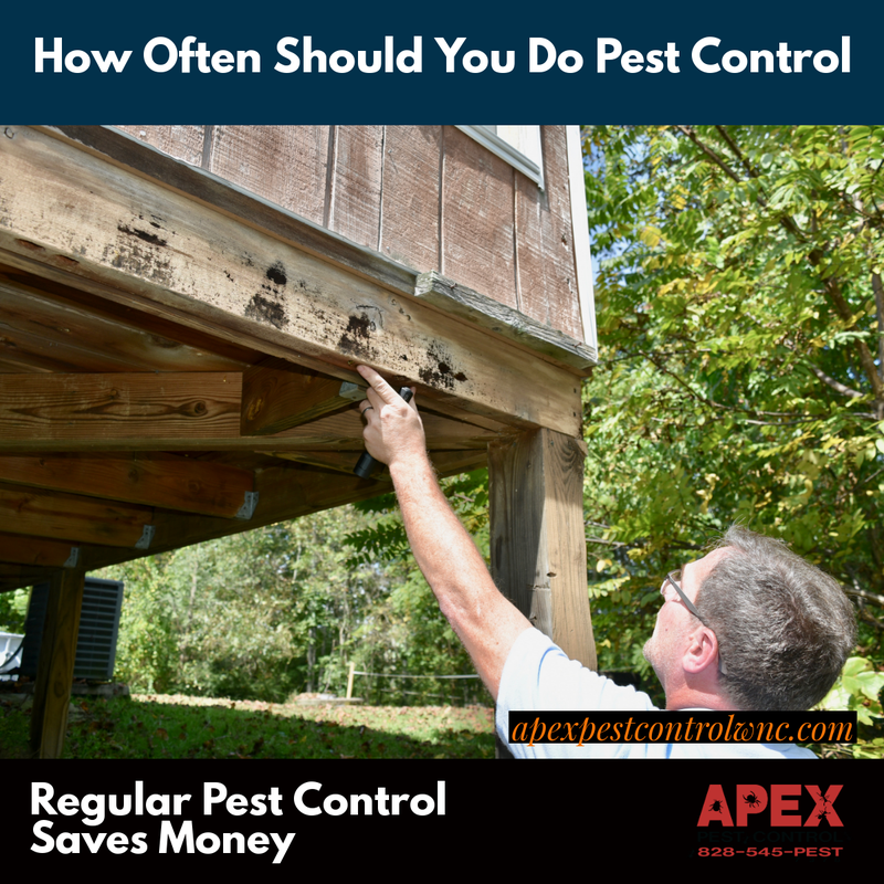 prevent termites