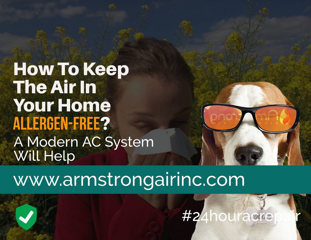 How To Keep The Air In Your Home Allergen-Free?