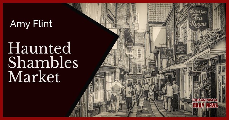 the shambles york