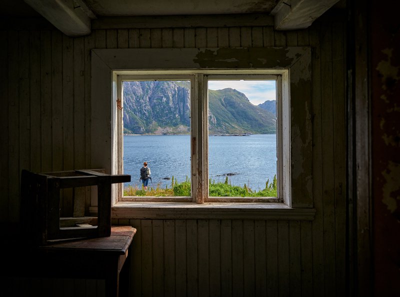 Looking Out