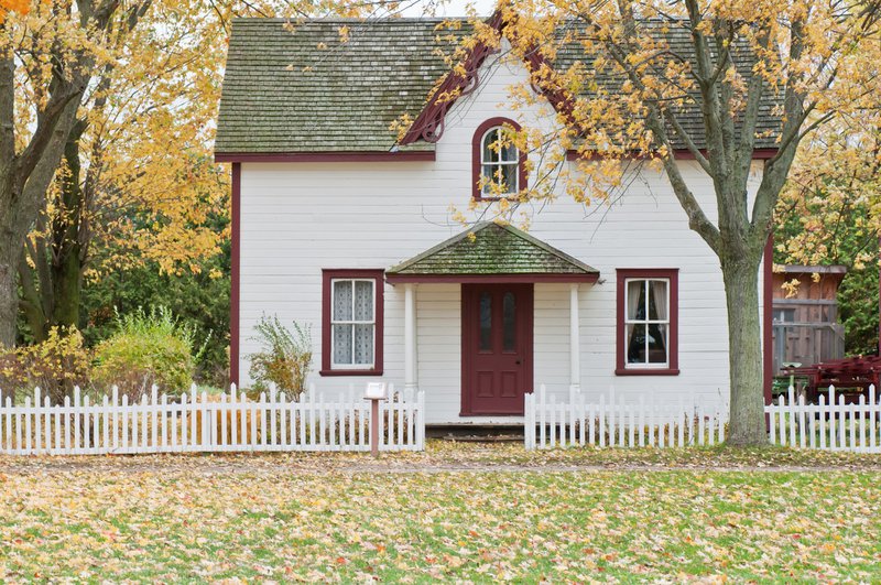 prevent termites