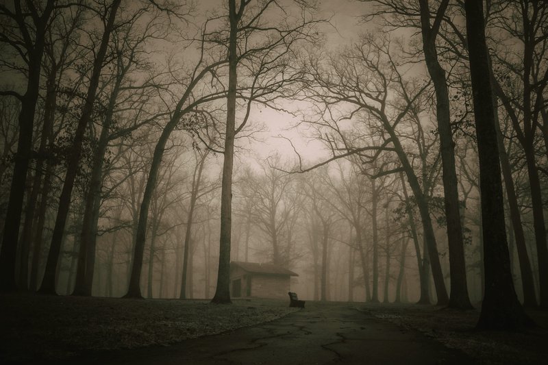 haunted woods