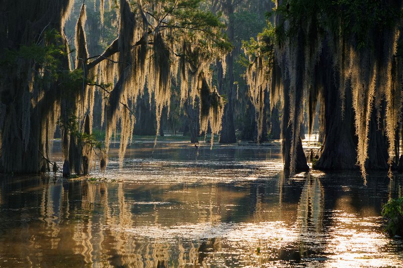 spirit walker