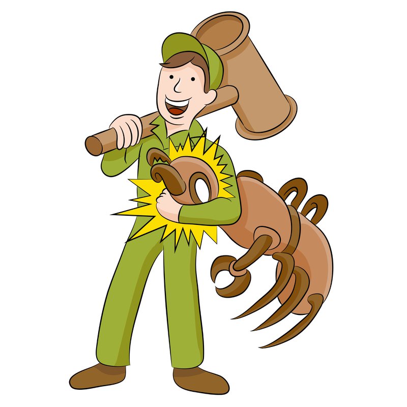 pest control services