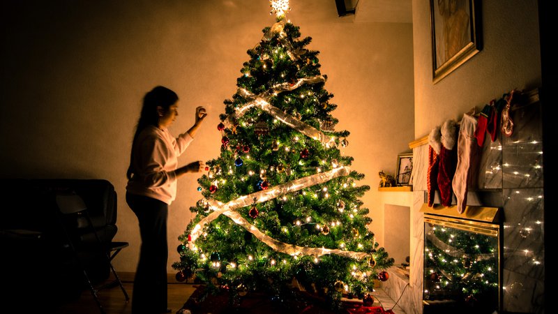 christmas pests