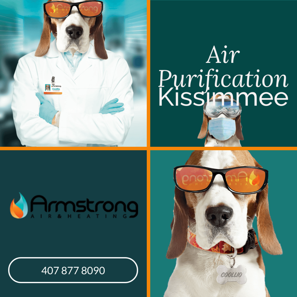 Air Purification In Your Kissimmee home