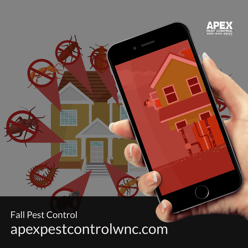 fall pest control