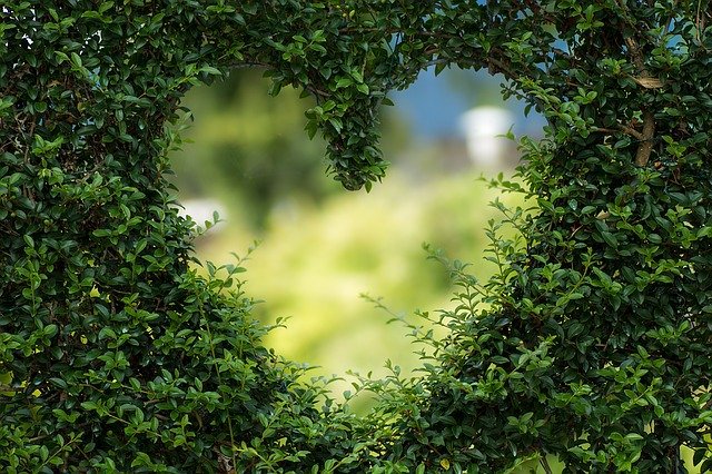 Healing the Energy of Our Homes