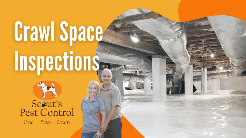 crawl space encapsulation