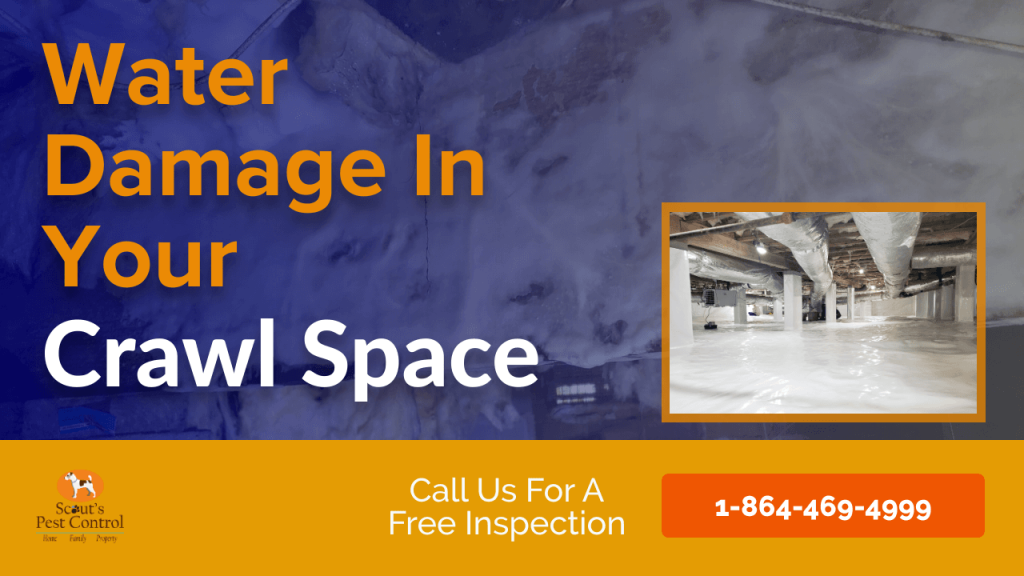 How Water Damages Your Crawl Space