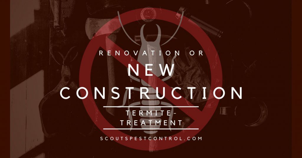 new construction termite treatment