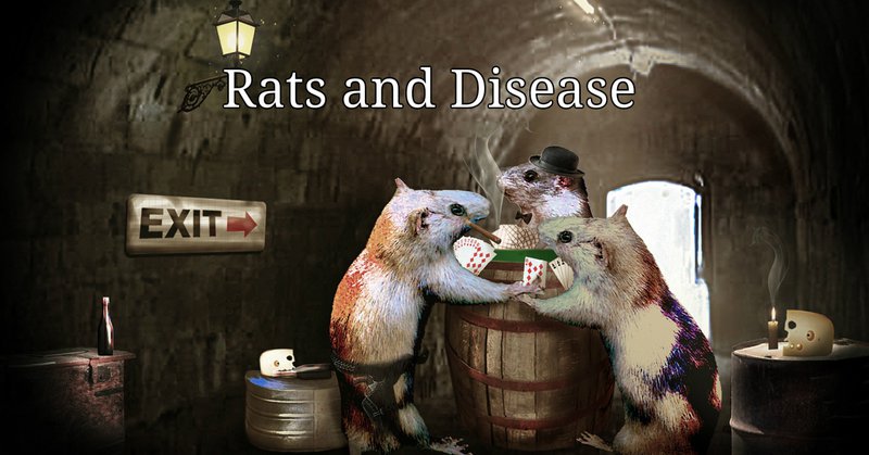 how do rats get into your home