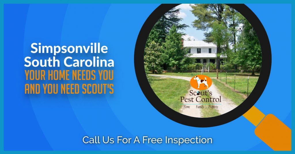 pest control simpsonville sc