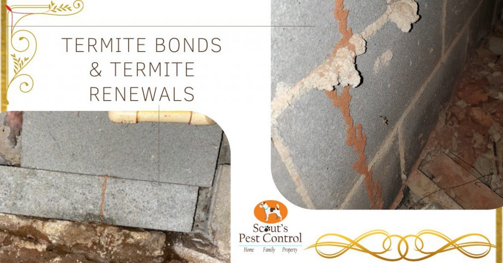 termite bonds