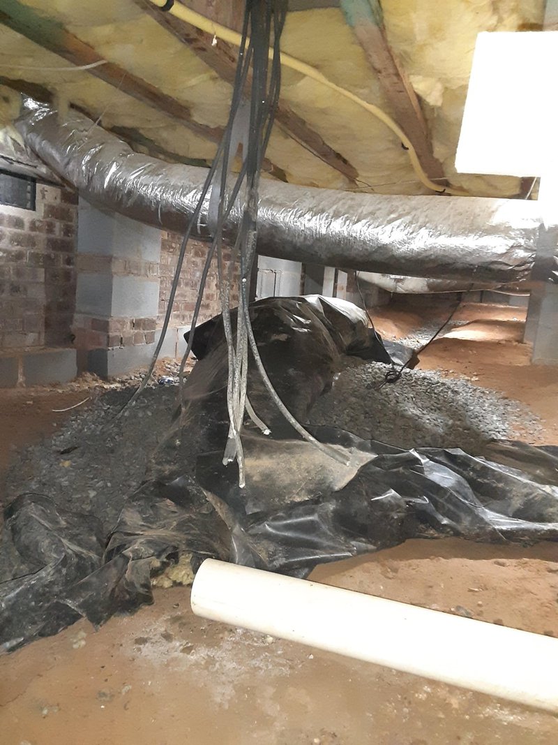 how rodents get into your home - crawl space