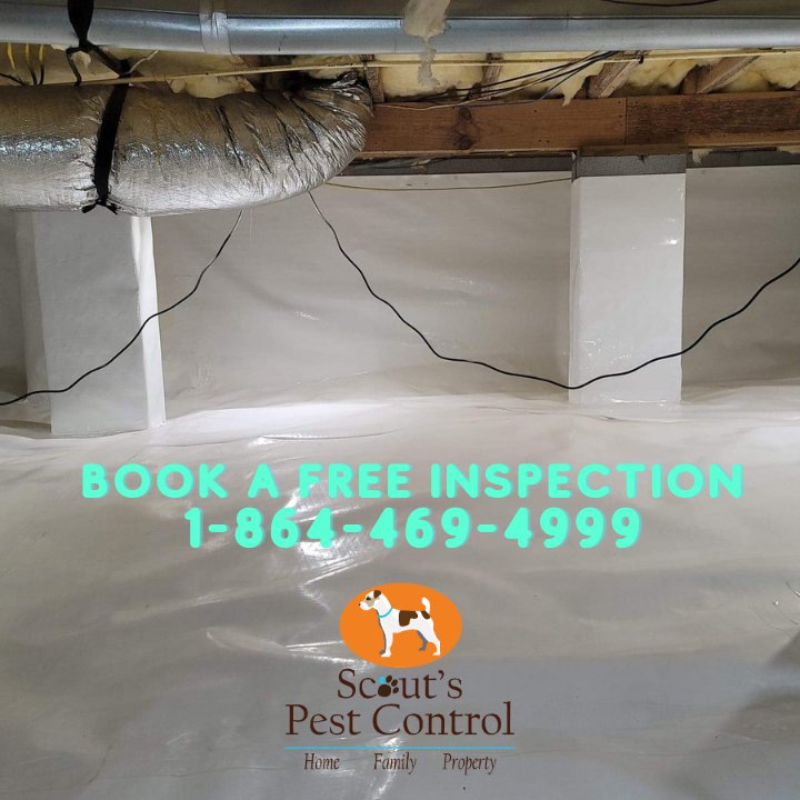 pest control simpsonville