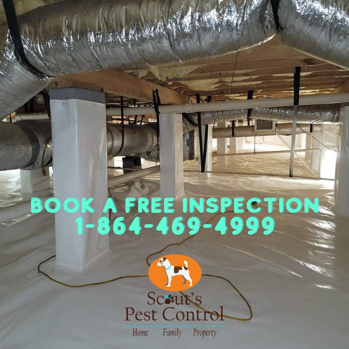 keep your crawl space dry