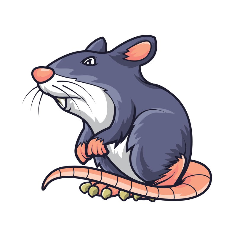 how rats get into your home