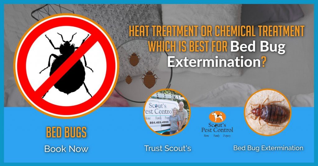 bed bug heat treatment