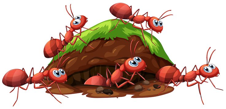 A Fire Ants and Hole