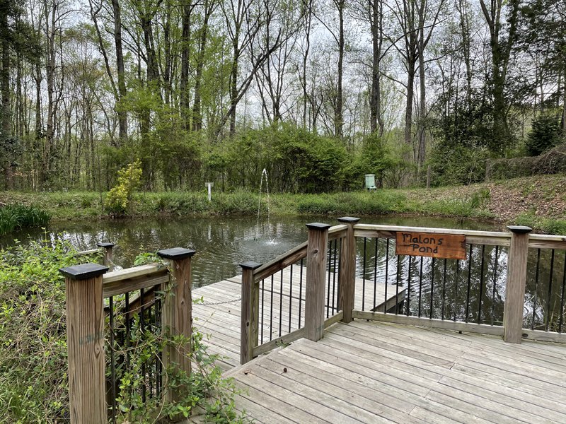 Malons Pond