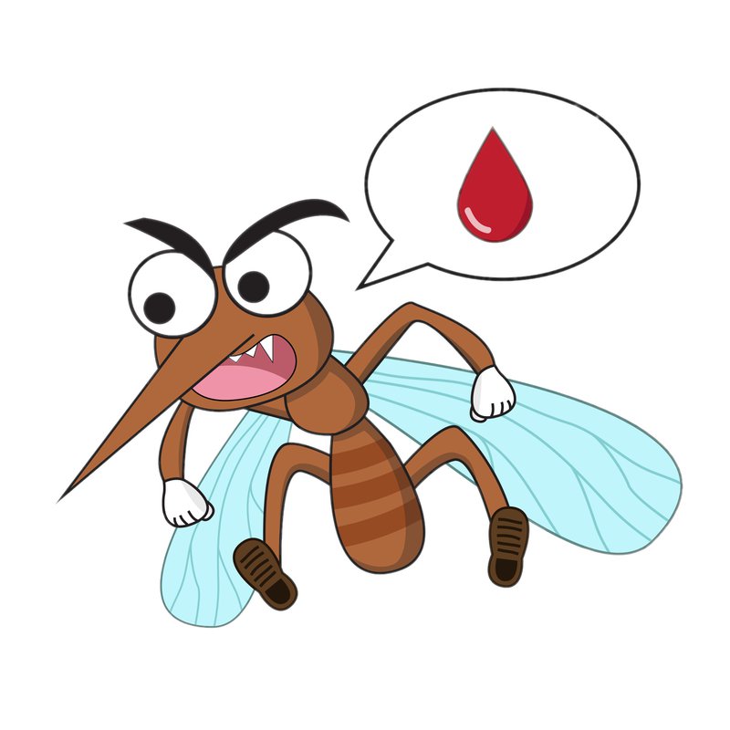 mosquitoes