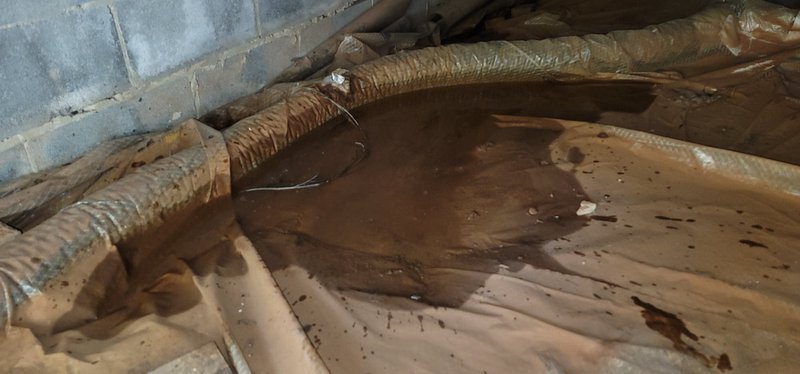 failed crawl space encap because no french drain