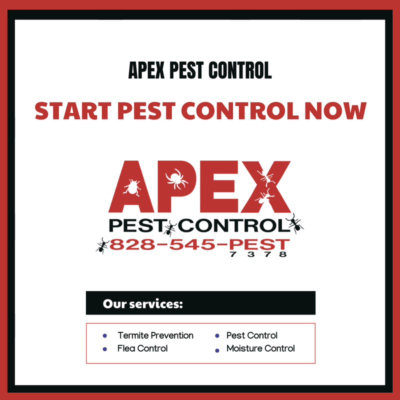 Apex Pest Control Services