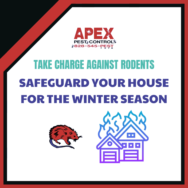 Take charge against the rodents. Safeguard your homes for the winter season
