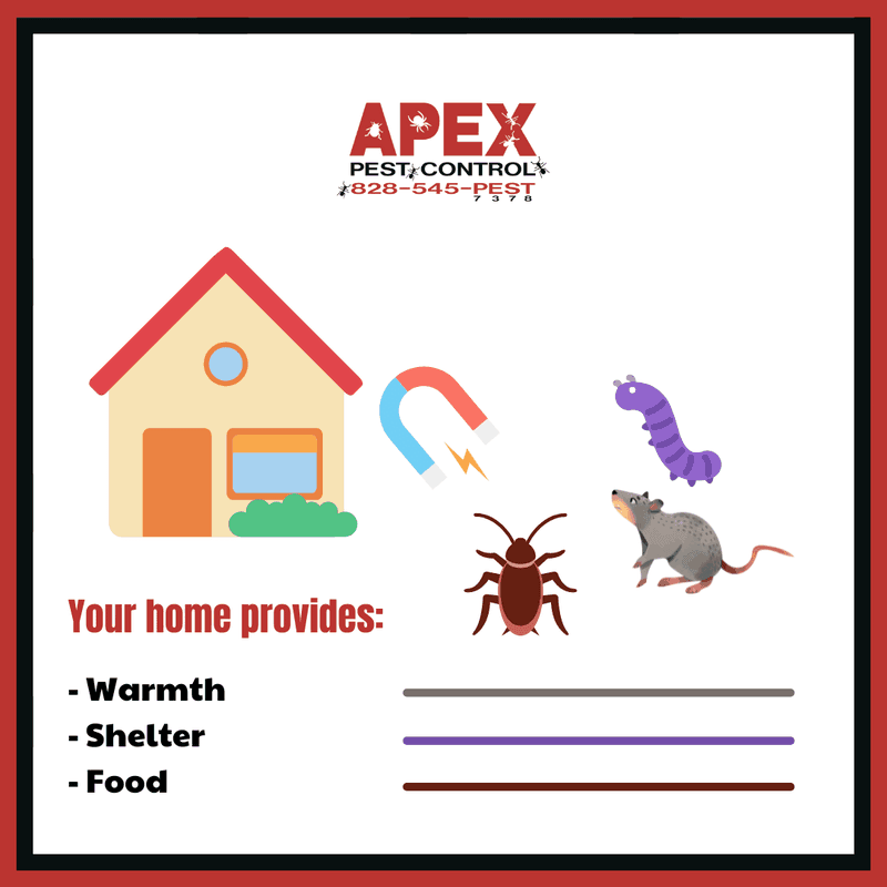 Your homes provide warmth, shelter, and food