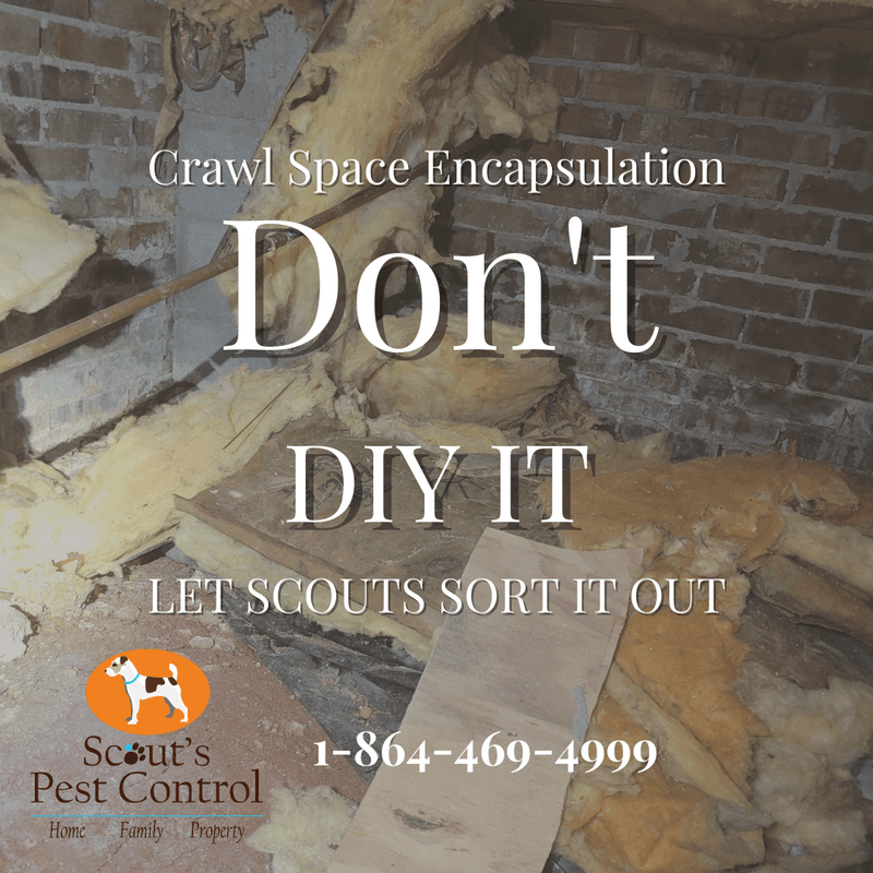 DIY crawl space encapsulation