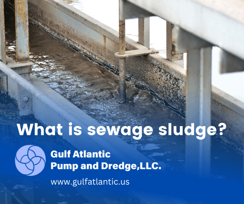 what is sewage sludge