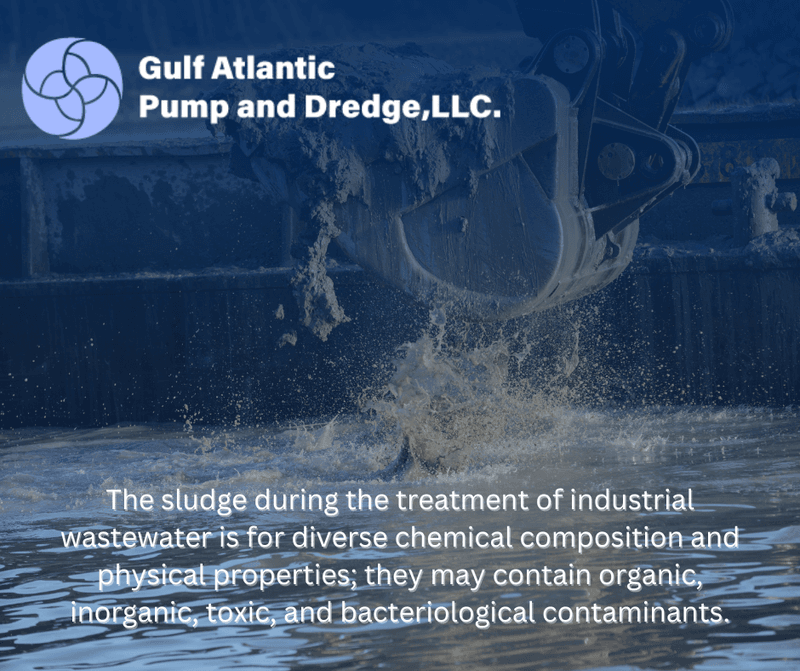 sewage sludge