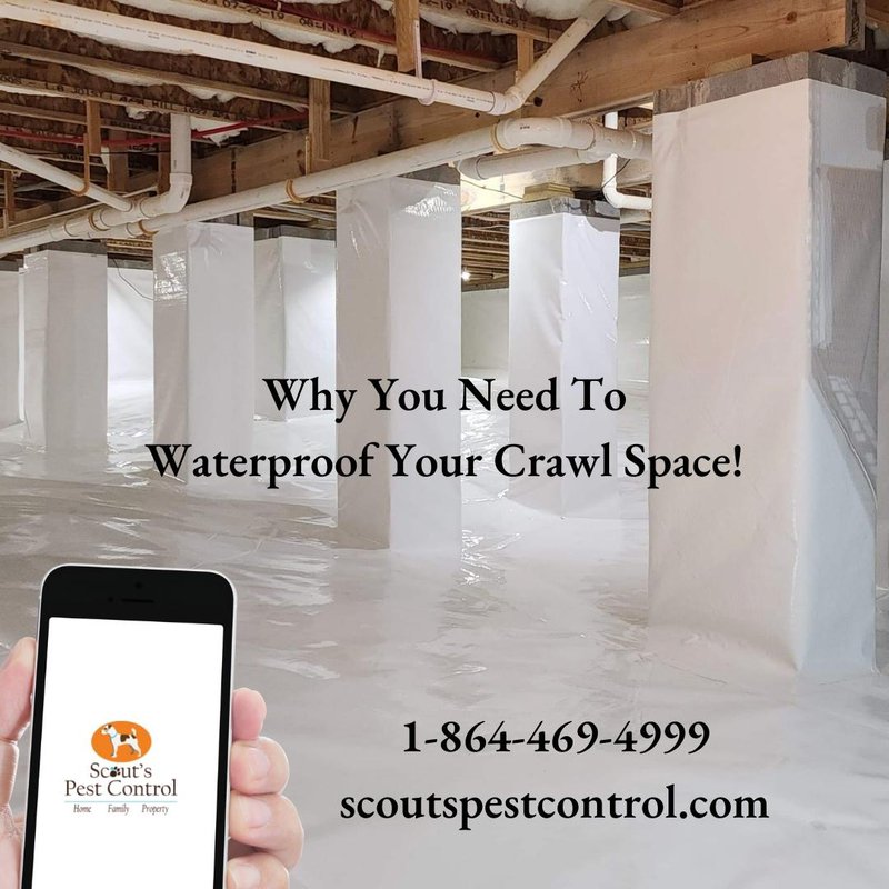 crawl space waterproofing