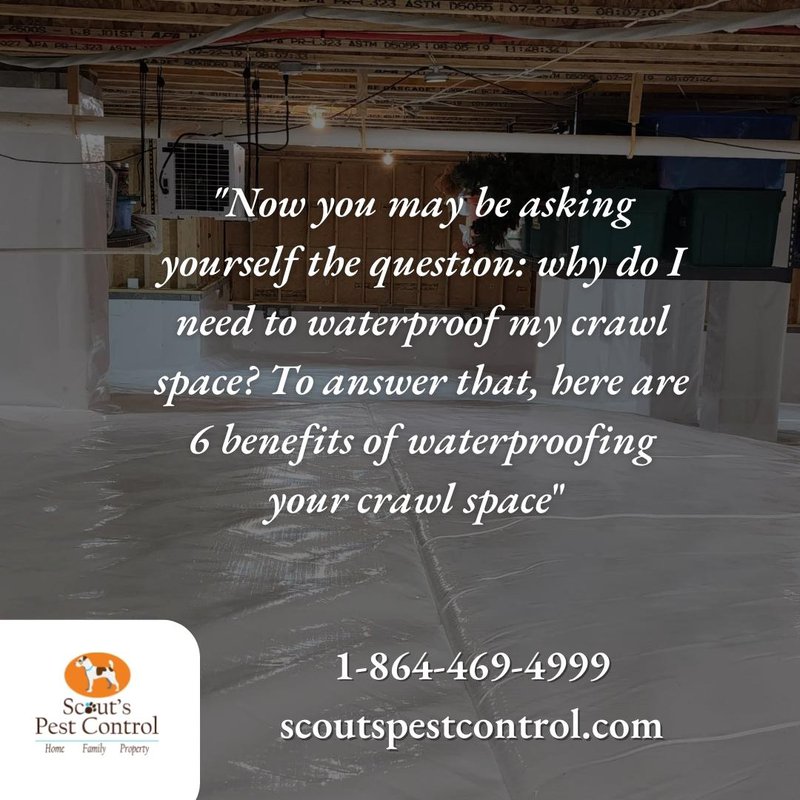 why do i need to waterproof my crawl space