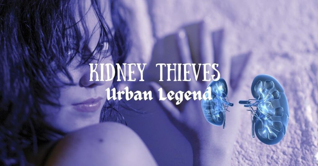 Kidney Thieves: The Urban Legend cover