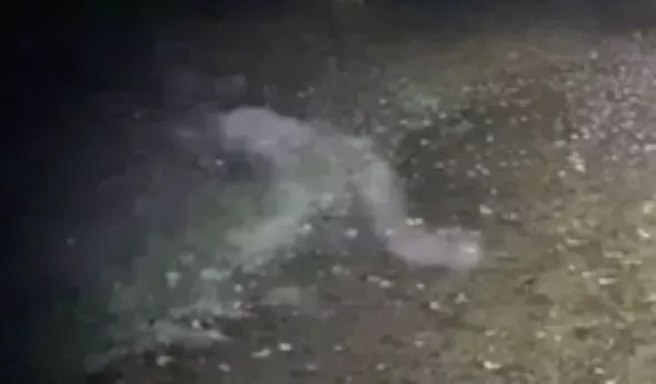 demon caught on camera 