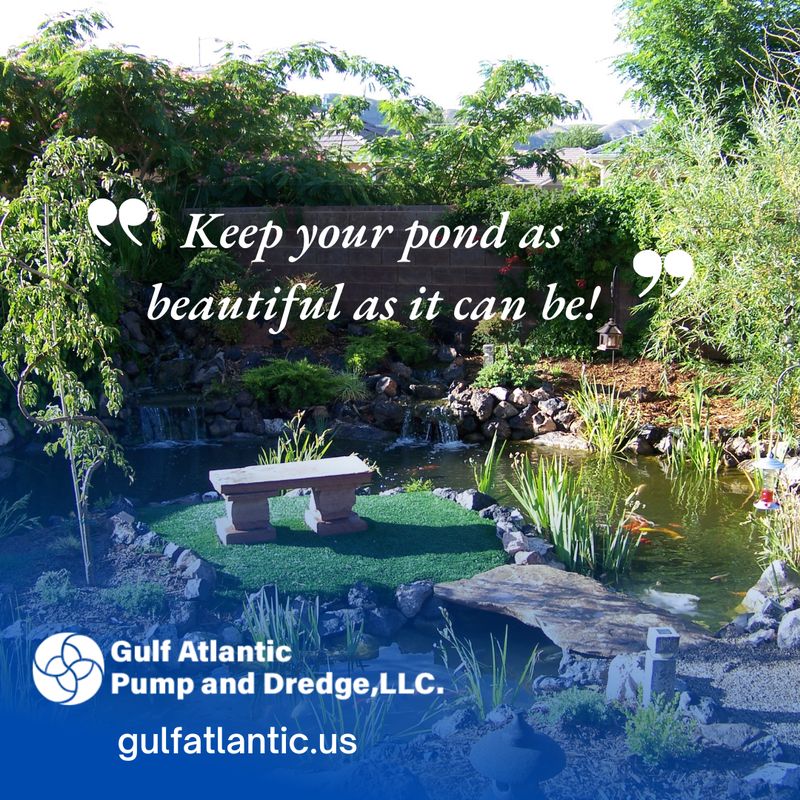 pond maintenance