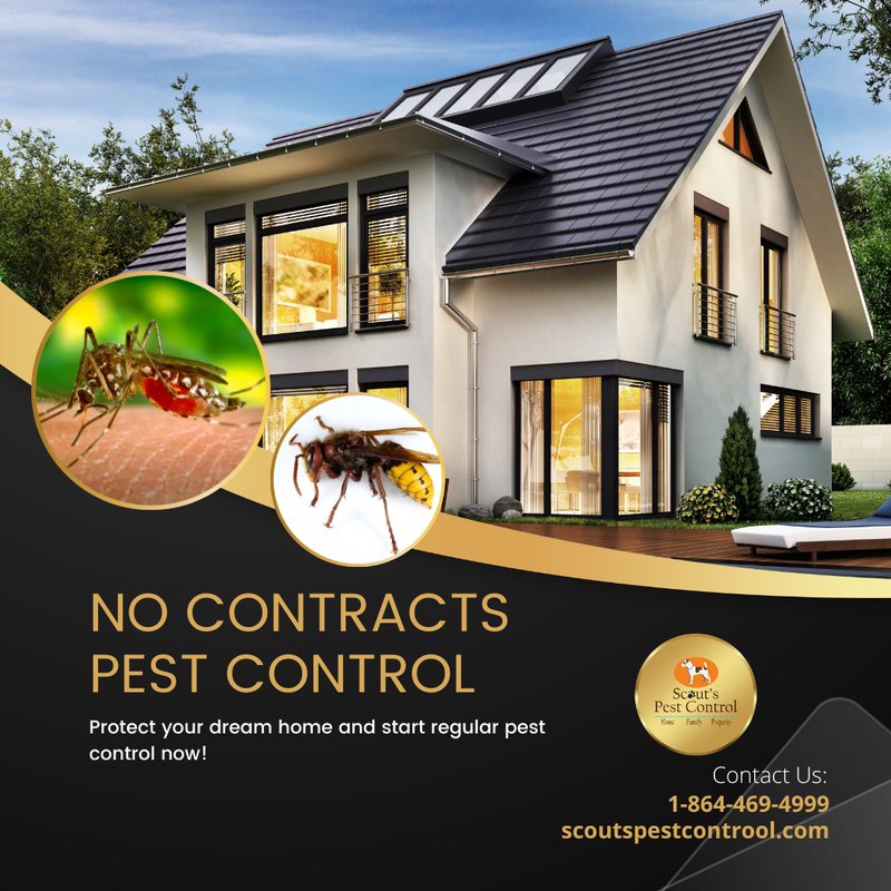 new home pest control to protect your home