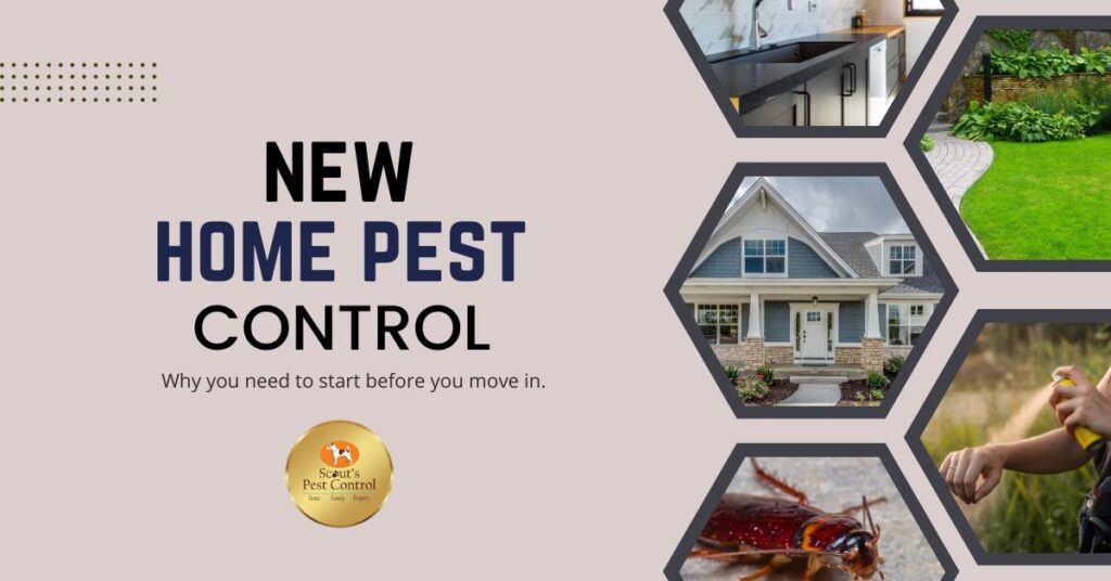 new home pest control