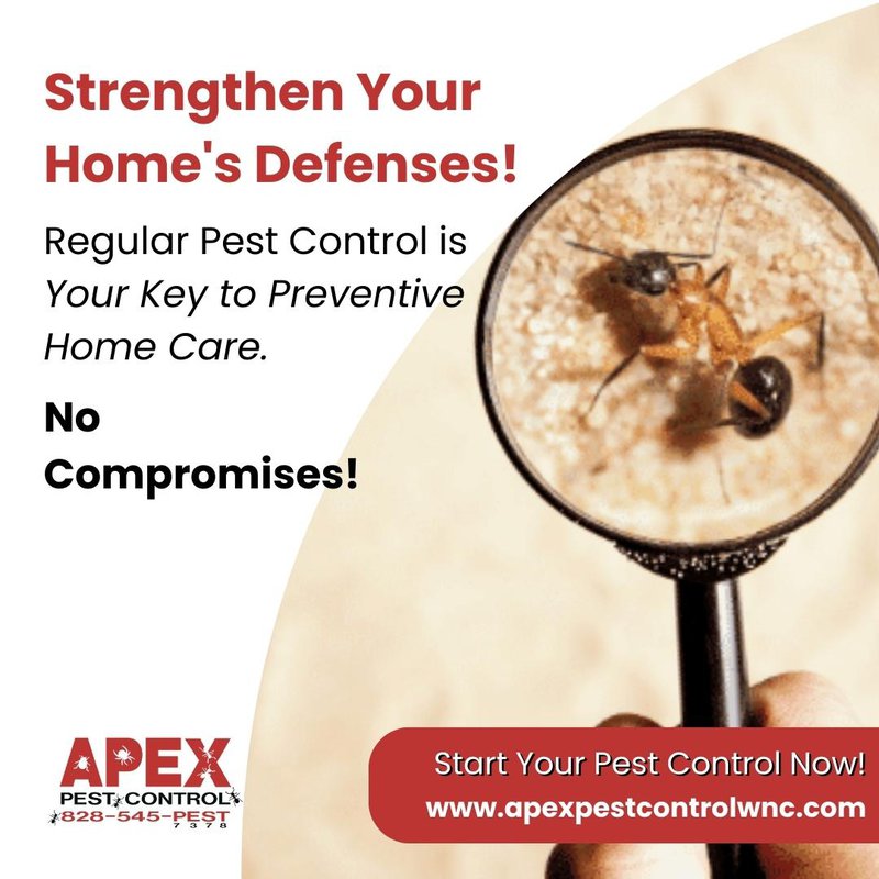 start regular pest control