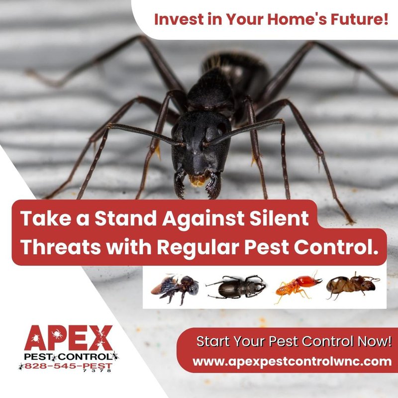 ant control