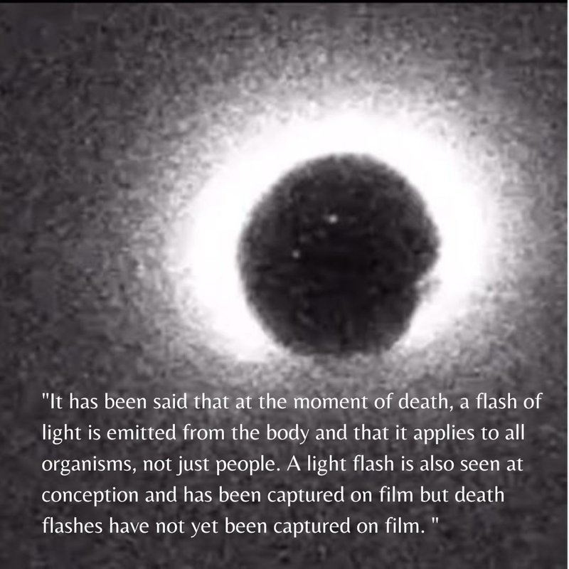 plasma physics