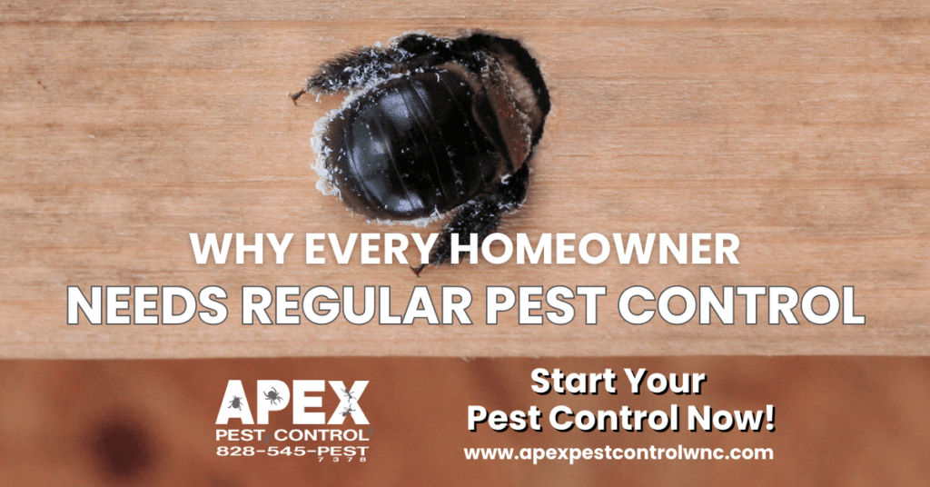 regular pest control