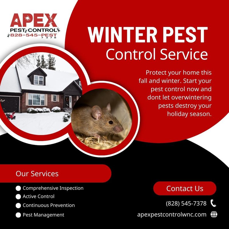 winter pests
